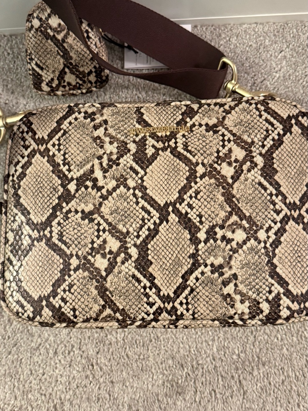 Mini Snake-Print Crossbody Pouch in Beige and Brown